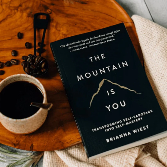 The Mountain Is You by Brianna Wiest