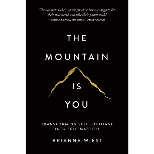 The Mountain Is You by Brianna Wiest